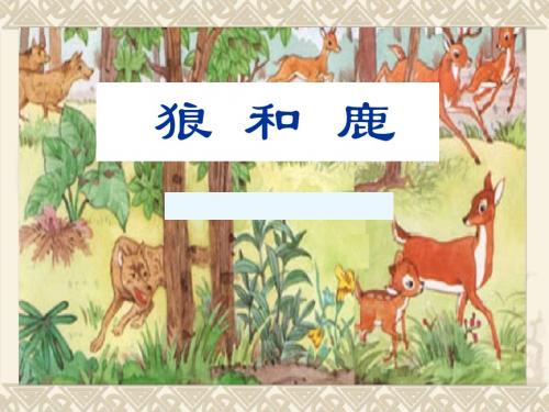 37页PPT课件《狼和鹿》