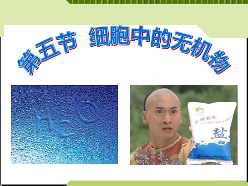 人教版生物必修一《细胞中的无机物》应用课件PPT