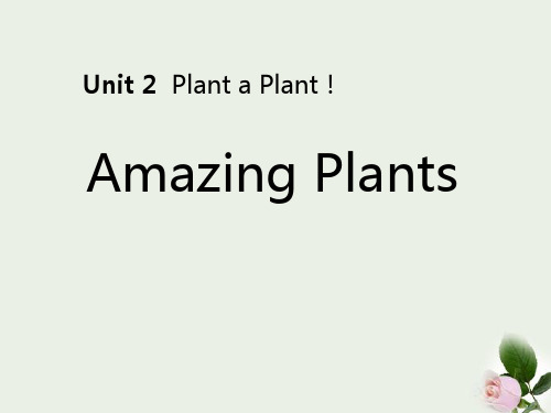 《Amazing Plants》Plant a Plant 下载 图文