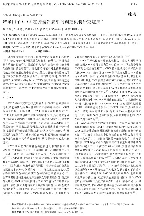 转录因子ctcf在肿瘤发展中的调控机制研究进展