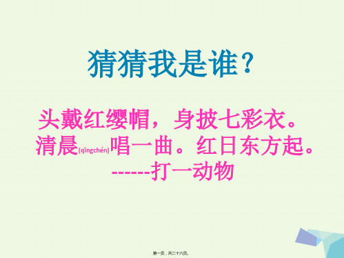 一年级语文下册 16.2 快乐的小公鸡课件2