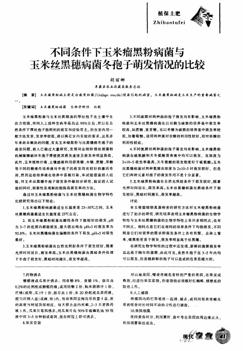 不同条件下玉米瘤黑粉病菌与玉米丝黑穗病菌冬孢子萌发情况的比较