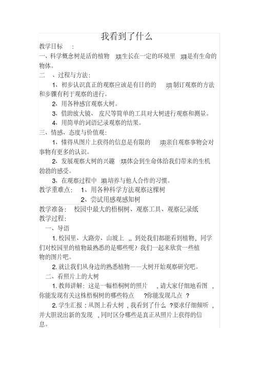 教科(部编)版三年级科学上册《植物我看到了什么》优课导学案_7