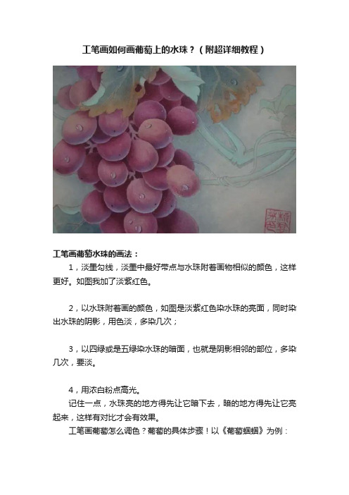 工笔画如何画葡萄上的水珠？（附超详细教程）