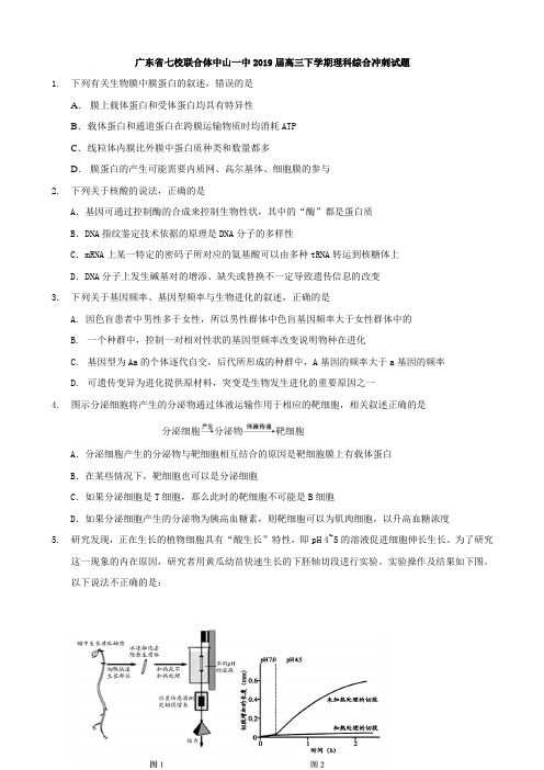 2019届广东省中山一中等七校联合体高三冲刺模拟理科综合试题Word版含答案
