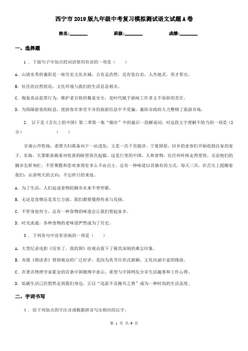 西宁市2019版九年级中考复习模拟测试语文试题A卷