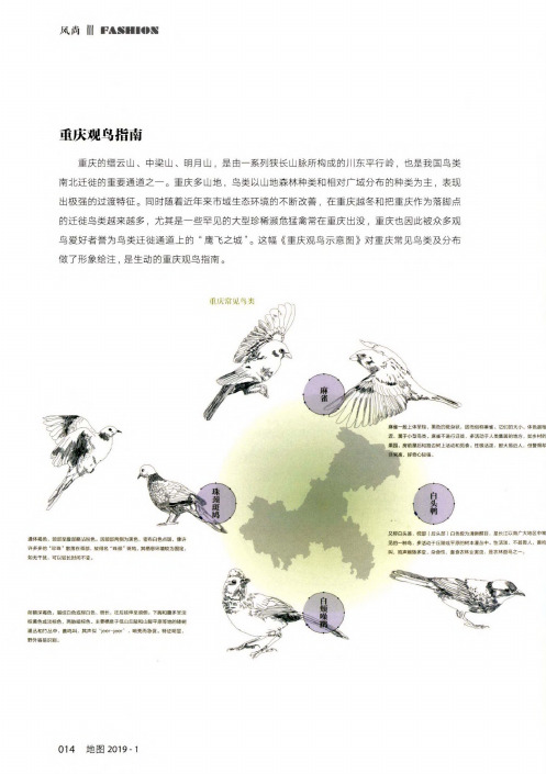 重庆观鸟指南