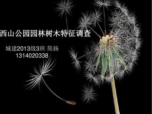 西山公园园林树木调查