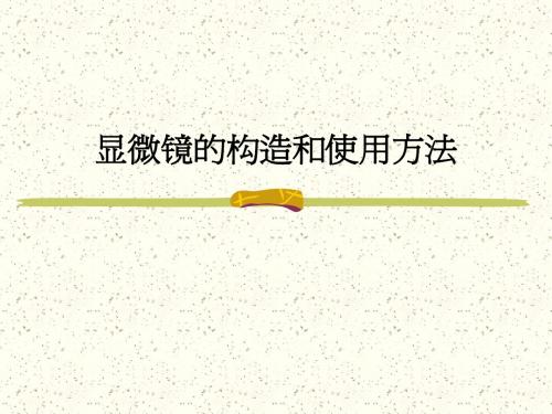 显微镜的构造和使用方法