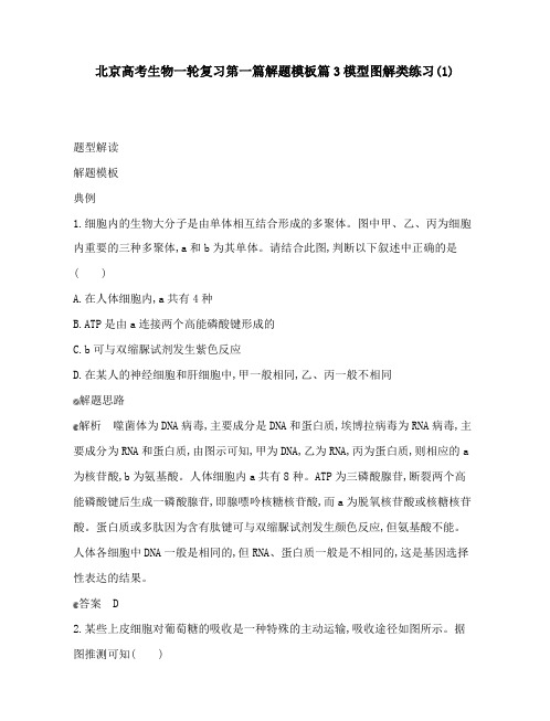 北京高考生物一轮复习第一篇解题模板篇3模型图解类练习(1)