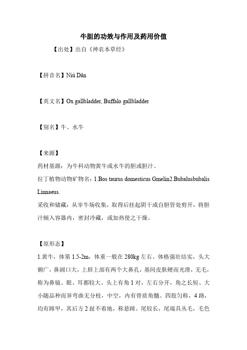 牛胆的功效与作用及药用价值