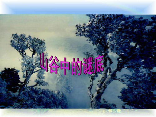 苏教版六年级下册语文 17《山谷中的谜底》 课件