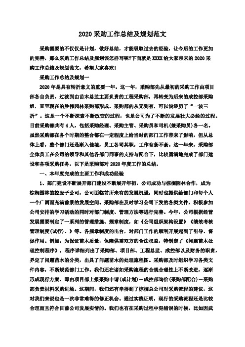 2020采购工作总结及规划范文
