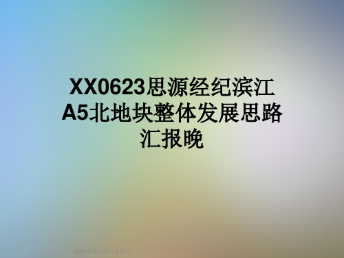 XX0623思源经纪滨江A5北地块整体发展思路汇报晚