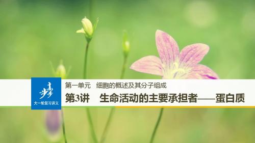 2018版步步高高考生物(人教版全国通用)大一轮复习讲义(课件)第一单元细胞的概述及其分子组成第3讲