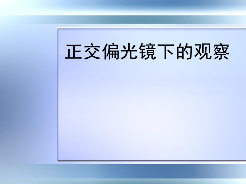 正交偏光镜下的观察