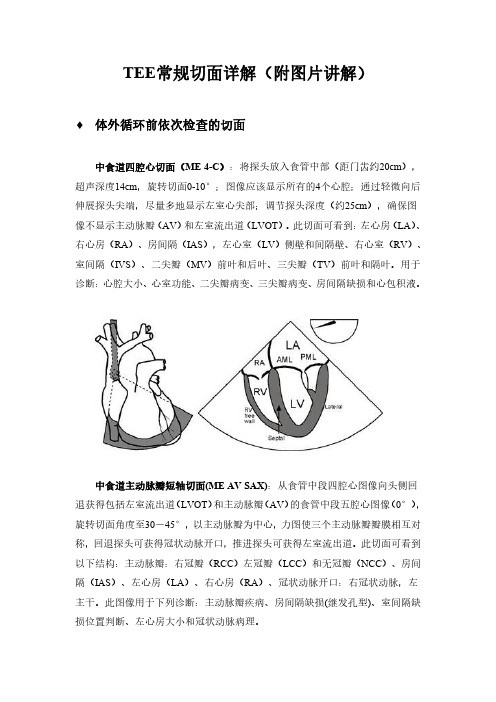 TEE常规切面详解(附图片讲解)