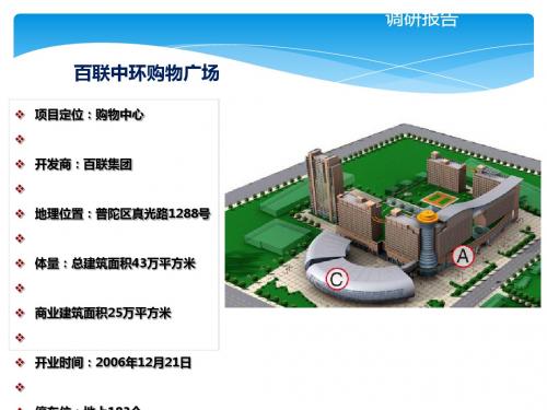 中环购物广场调查报告(PPT30张)