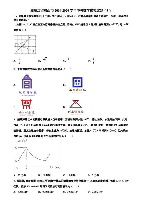 黑龙江省鸡西市2019-2020学年中考数学模拟试题(5)含解析
