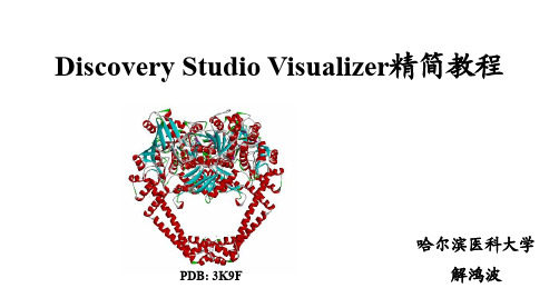 Discovery Studio Visualizer简易教程