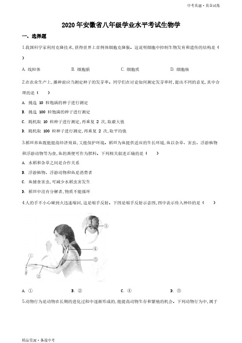 2020年安徽省【八年级生物】初中学业水平考试试题(学生版)高清 