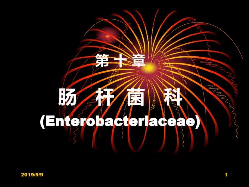 第10章 肠道杆科课件