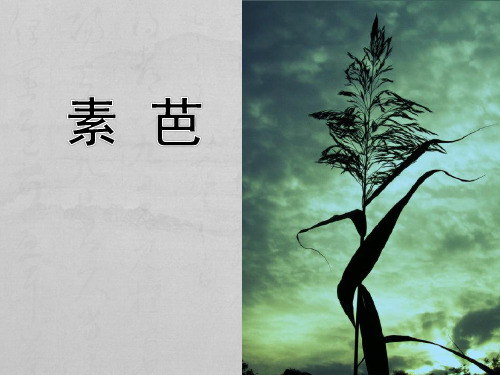 选修 外国小说欣赏《素芭》课件(35张PPT)语文精品公开课课件