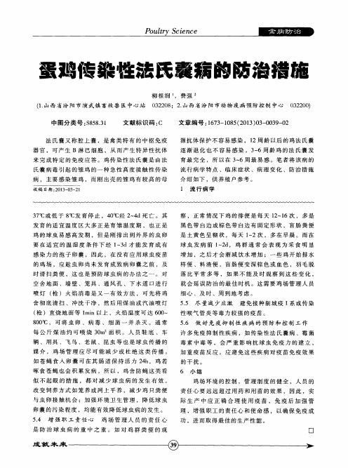 蛋鸡传染性法氏囊病的防治措施