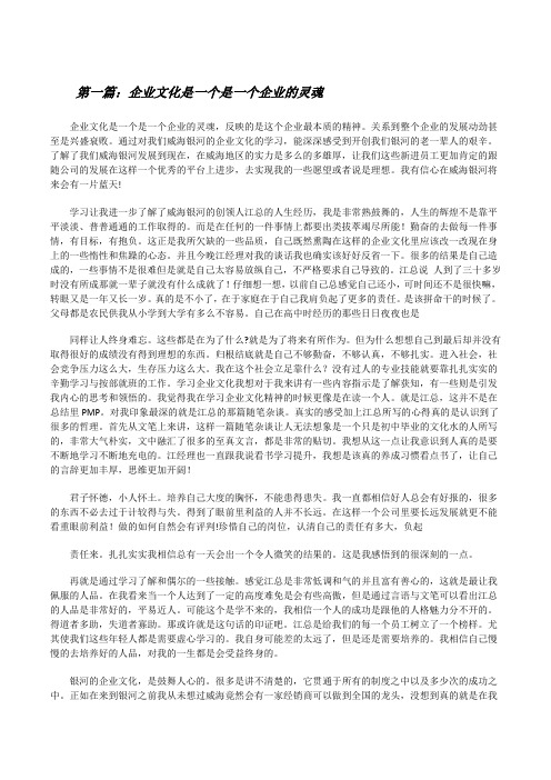 企业文化是一个是一个企业的灵魂[修改版]