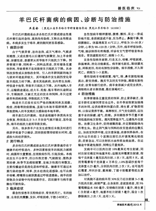 羊巴氏杆菌病的病因、诊断与防治措施
