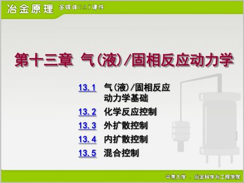 13气液固相反应动力学