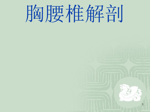 (参考课件)胸腰椎解剖