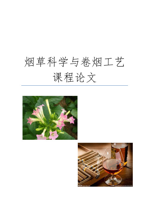 烟草论文