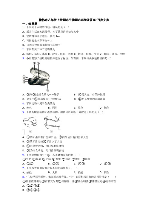 榆林市八年级上册期末生物期末试卷及答案-百度文库