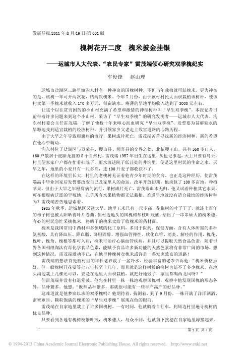 槐树花开二度槐米披金挂银_车俊锋