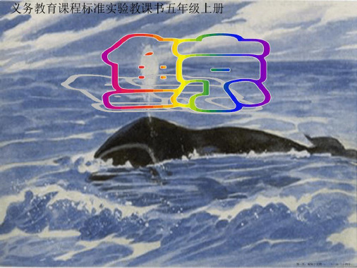 新人教版小学语文五年级上册《鲸》课件