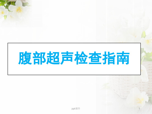 腹部超声检查指南  ppt课件