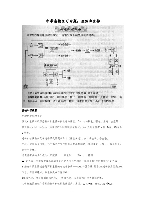 中考生物复习专题：遗传和变异