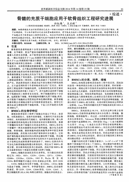 骨髓的充质干细胞应用于软骨组织工程研究进展