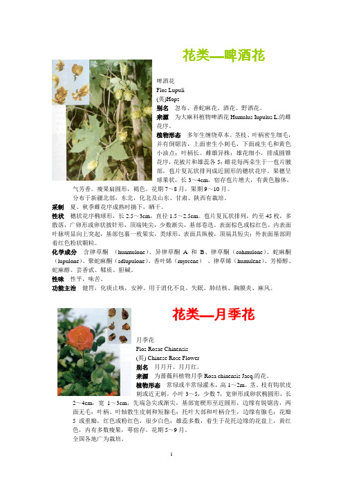 中草药大典2