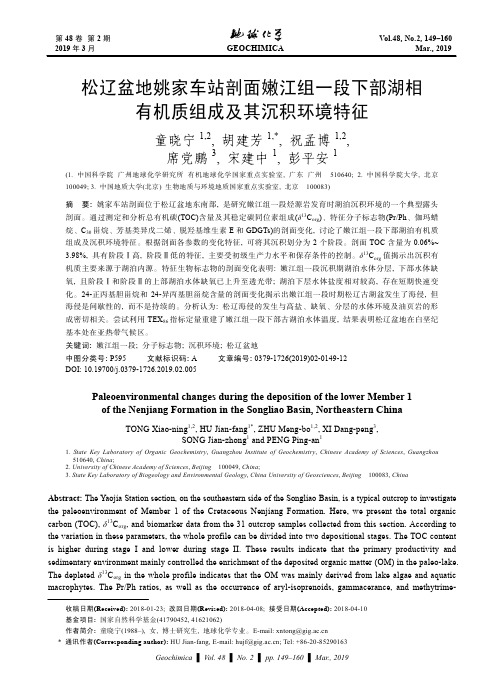 松辽盆地姚家车站剖面嫩江组一段下部湖相有机质组成及其沉积环境特征