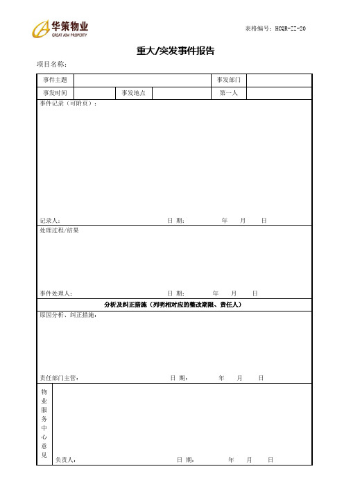 综治类表单20重大突发事件报告