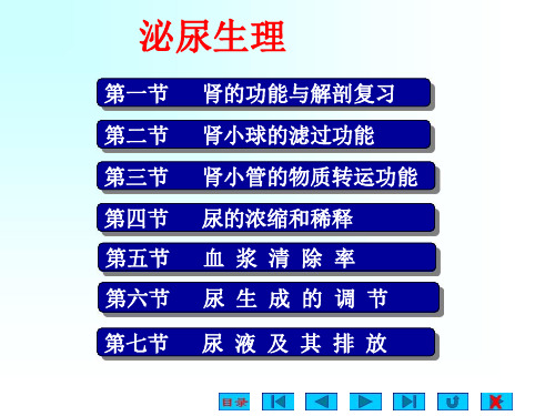泌尿生理-精品医学课件
