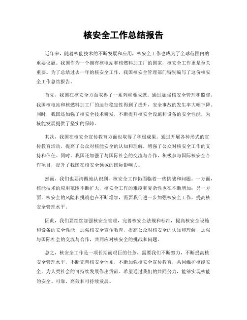 核安全工作总结报告