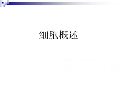 中图版 必修一 细胞概述 课件(29张)