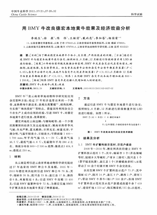 用BMY牛改良德宏本地黄牛效果及经济效益分析