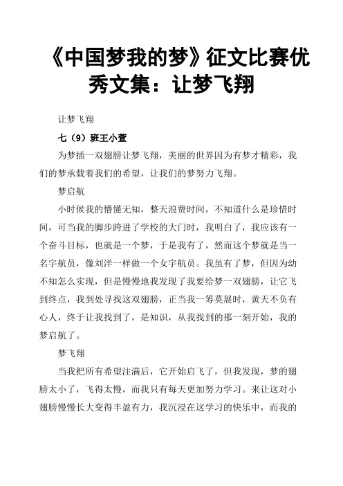 《中国梦我的梦》征文比赛文集：让梦飞翔