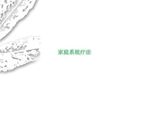 家庭系统疗法