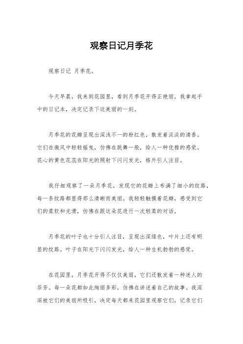 观察日记月季花