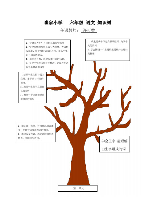 六年级知识树构图